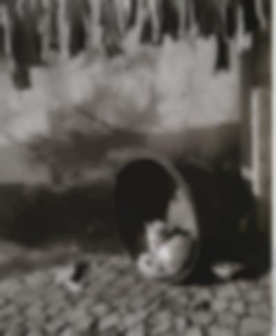 ARTUR PASTOR, “SESTA” (NAP), 1940-1970, ARQUIVO MUNICIPAL DE LISBOA, www.arquivomunicipal.lisboa.pt